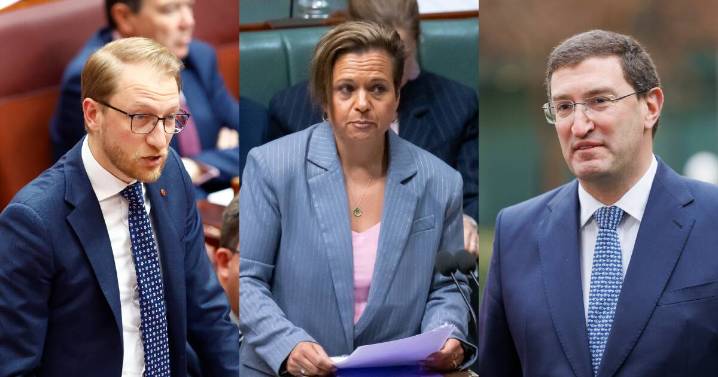 Coalition accuses govt of 'transparency tax', over FOI proposal