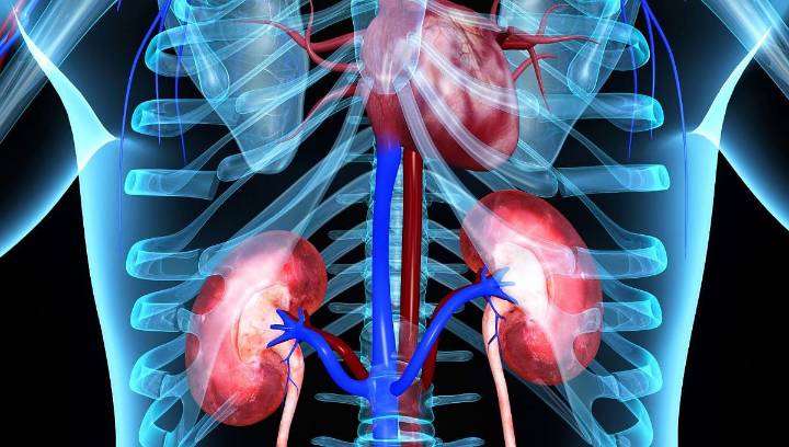 Mortality Rates From Hypertensive Renal Disease Increased From 1999 to 2023