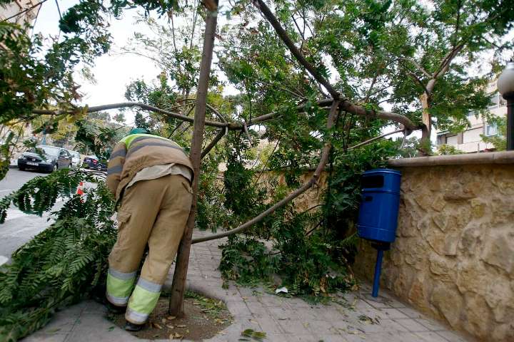 El Consorcio de Alicante tiene abiertas 18 intervenciones por lluvias intensas y viento