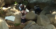 ¡Por un México más verde! Voluntarios limpian río en Jardín Botánico de Acapulco