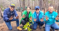 Culmina la siembra de especies nativas en Cerro El Cable, zona prioritaria de restauración en Cerros Orientales