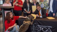 Delaware Gov. Meyer attends ceremonial signing of animal abuse offender list