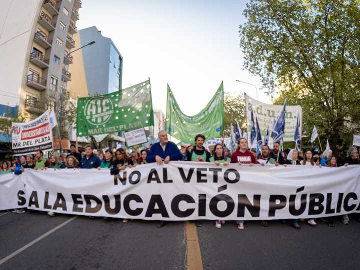 Tras el veto de Javier Milei, los universitarios convocaron a un paro nacional
