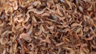 Americans are crazy for shrimp. Much of it came from India
