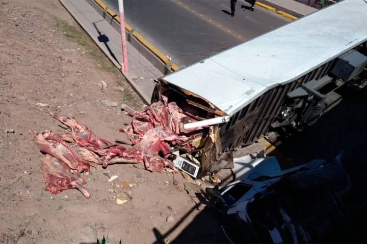 Un camión cargado con carne cayó desde un puente y la gente quería llevarse la mercadería