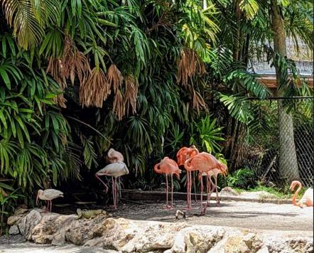 2-for-1 BAMM deals & free entry at top Broward attractions