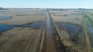 Nación declaró la emergencia agropecuaria en 9 de Julio y otros 11 distritos