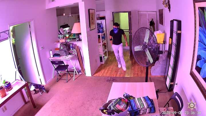 Man burglarizes West Hollywood home, kills pet dog, authorities say