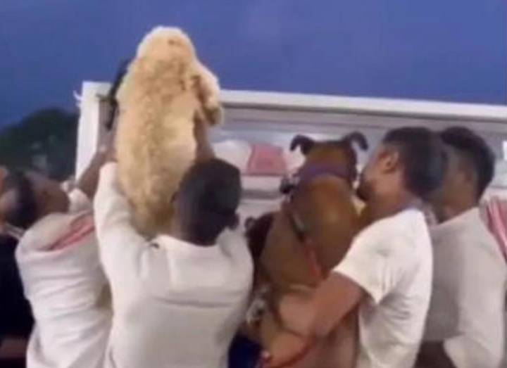 Guwahati: Zubeen’s pets bid him a tearful final goodbye at Sarusajai Stadium