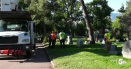 Volunteers clean up and replant trees at Evergreen Cemetery in Colorado Springs