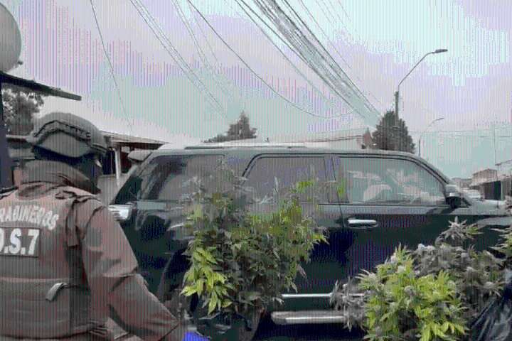 Masivo operativo en Rancagua por tráfico de droga y homicidio: se allanaron 25 casas de forma simultánea