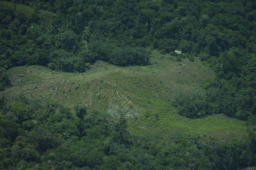 Peru rejects creation of Amazon reserve to protect uncontacted tribes, drawing Indigenous outcry