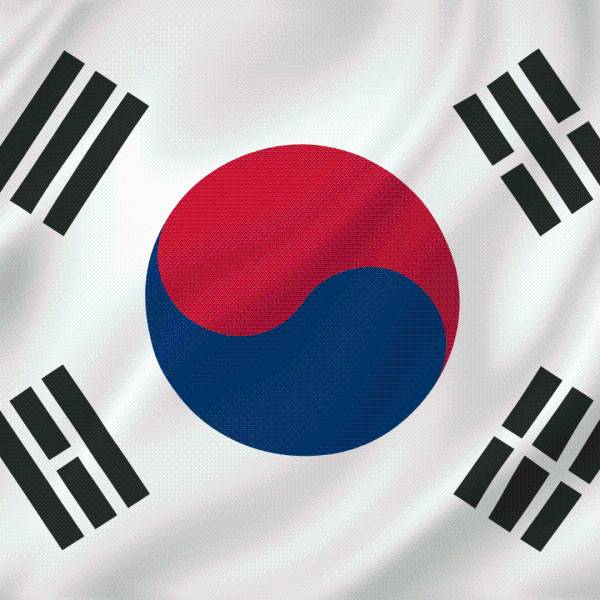 An alliance under arrest: The Hyundai–LG raid and its diplomatic fallout