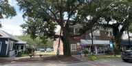 Historic live oak tree in downtown Ocean Springs set to be removed following special