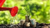 Sector financiero impulsa electromovilidad y créditos verdes en México