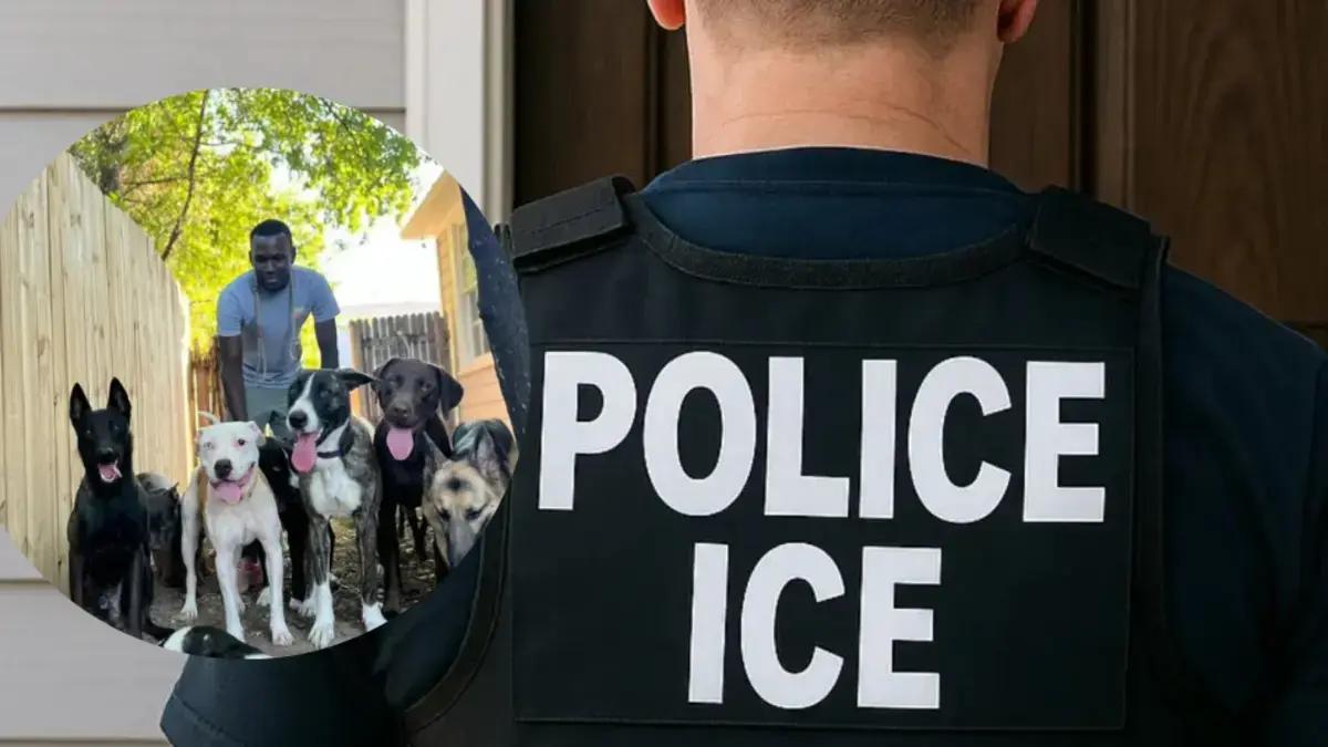 ICE no perdona a nadie: así arrestó a un adiestrador de perros en Texas (hay enojo con la agencia)