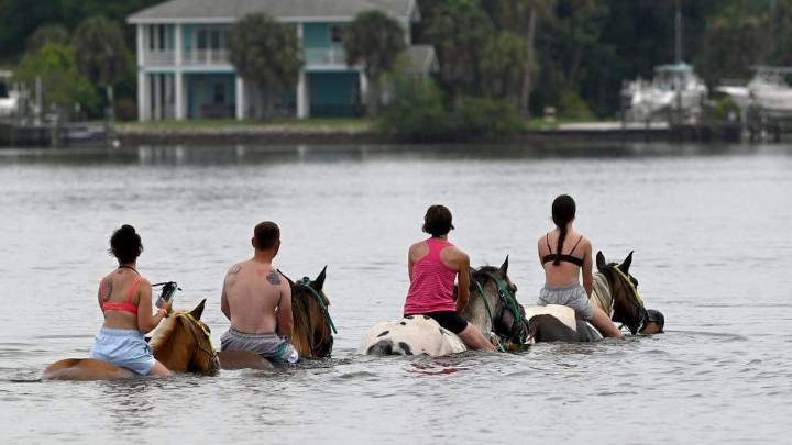 New water quality tests reignite horse poop debate in Tampa Bay area waterway