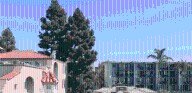 Bankers Hill pine trees in flight path set to be removed