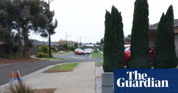 Two boys, 12 and 15, killed in Melbourne attacked by eight knife and machete wielding suspects