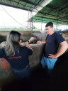 Sunagro inicia en Mérida el Plan Proteína Porcina 2025