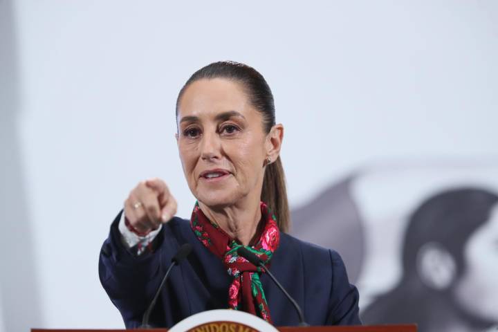 México busca reabrir la frontera con EE.UU. para exportación de ganado antes de noviembre