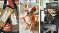 50% off The Farmer's Dog: Try personalized, vet
