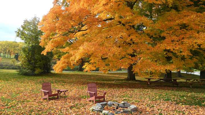 What to expect for the fall of 2025 in Erie PA