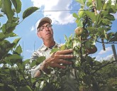 An Ohio Breeding Program Strives to Create The Next Great Apple