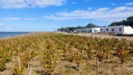 La Feria Tierra, Mar y Vinos trae charlas y proyectos innovadores