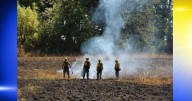 Prescribed burn planned at Herbert Farm to restore habitats