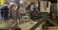 Thursday's news in pictures as Celtic fan attacked ahead of match in Belgrade