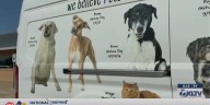 Longview animal shelter works with partner agencies for interstate adoption