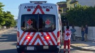 Ataque de abejas deja dos hombres hospitalizados en Hermosillo