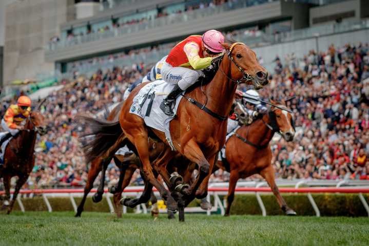 My Wish can get off the Mark at Sha Tin