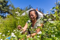 A Santa Cruz Gardening Collective Cultivates Belonging for Queer and Trans Asian Americans