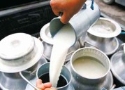 India continues to hold top position in global milk production
