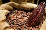 Promperú fortalece capacidades para garantizar exportaciones de café y cacao