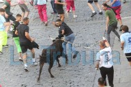 Vaquillas mañaneras para carreras 'gourmet'