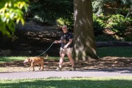 Portland weekend weather: Some sun and some rain