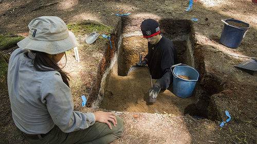 Archaeologists Excavate Thick Layer of Sunflower Seeds on Car Floor