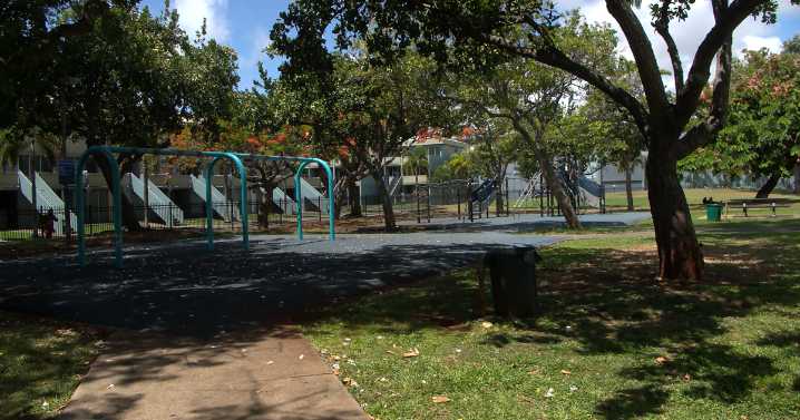 Two arrested after cars damaged at Honolulu park