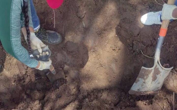 Colectivo de búsqueda halla fosa clandestina en Zapopan; encuentran 14 bolsas con restos humanos