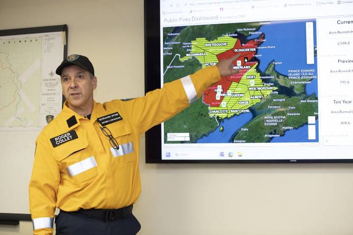 Blackened trees, silence and few signs of life at the site of New Brunswick's largest summer wildfire