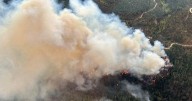 Wildfire that triggering evacuations and alerts near Peachland, B.C., grows overnight