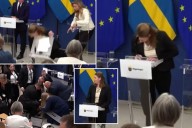 Sweden health minister Elisabet Lann collapses during press conference
