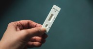 Covid cases and deaths on rise as new variant sweeps across UK