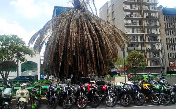 Moto-rateros: ¿Cuántas motos tiene la Fiscalía CDMX vinculadas con robo?