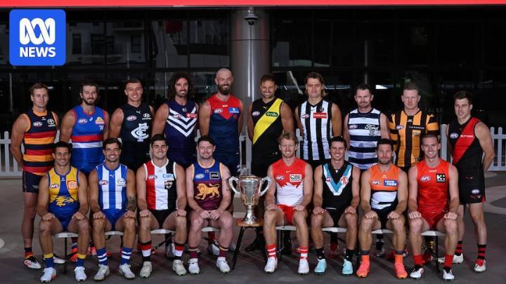 How Brisbane, Hawthorn, Geelong and Collingwood stay on top of the AFL world