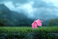 Lluvias, tronadas y ráfagas de viento marcarán el clima de hoy miércoles