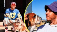 La gran tristeza de Lewis Hamilton tras la muerte de su perro Roscoe: Tuvo que dormirlo tras días hospitalizado